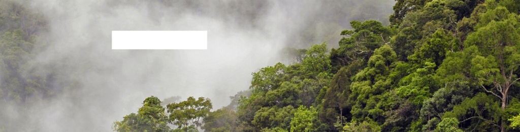 Travel Sense Asia™