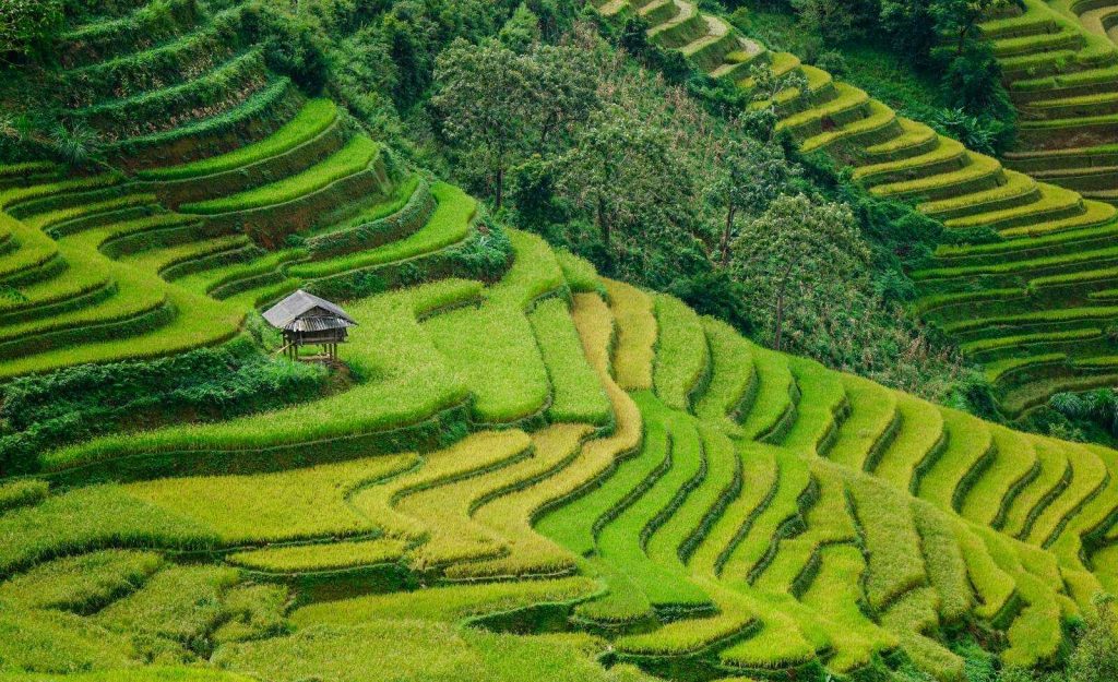 Travel Sense Asia™