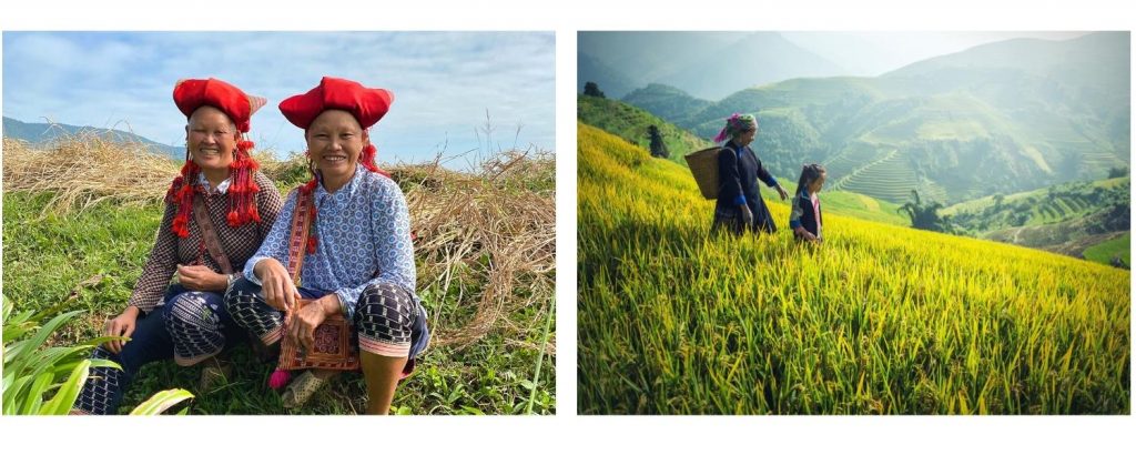 Travel Sense Asia™