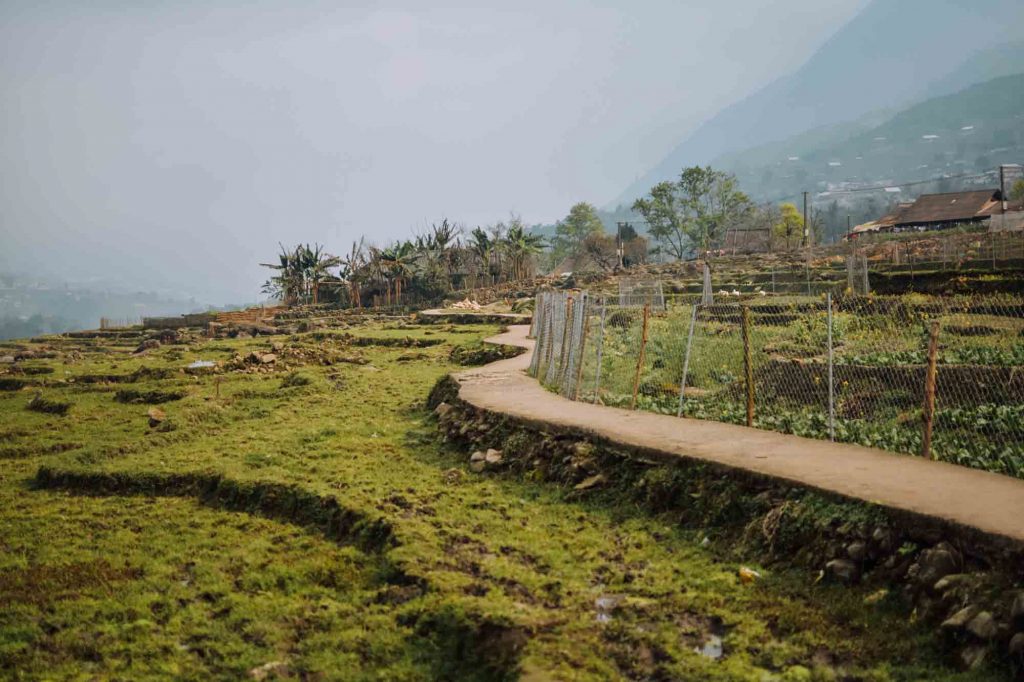 Travel Sense Asia™