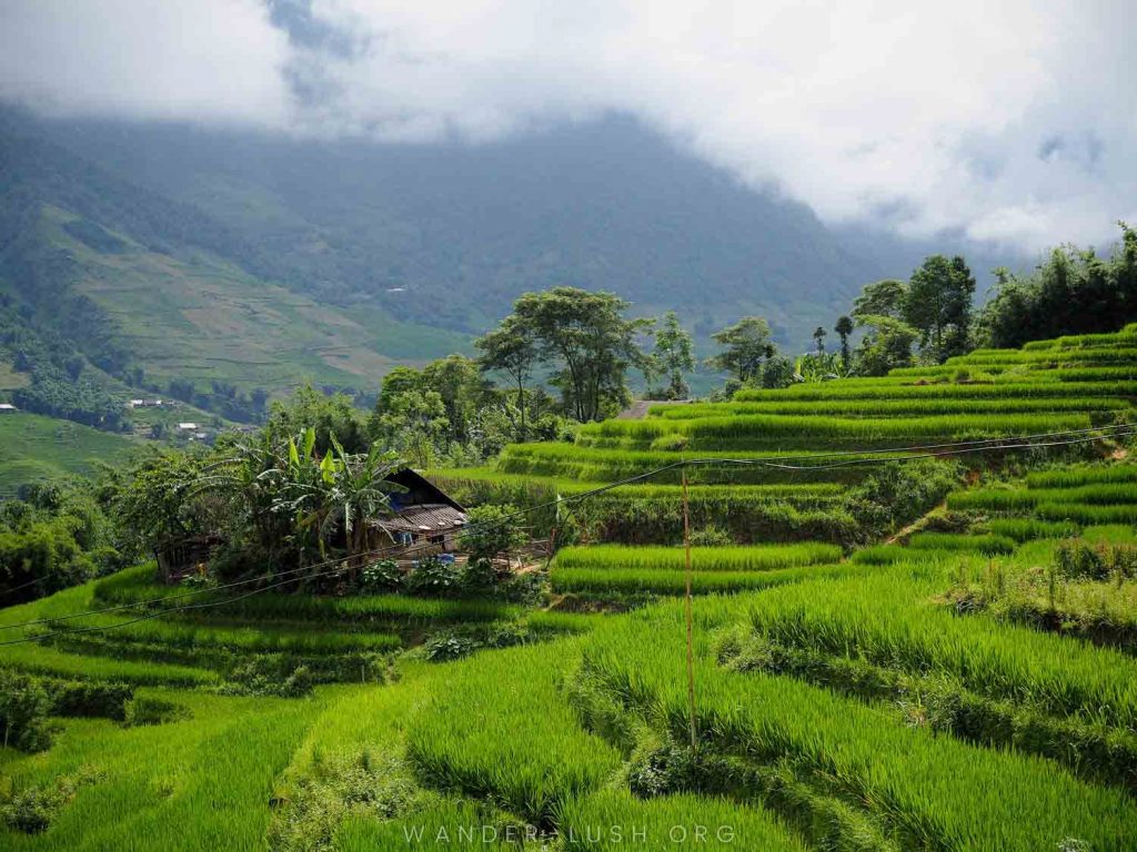 Travel Sense Asia™