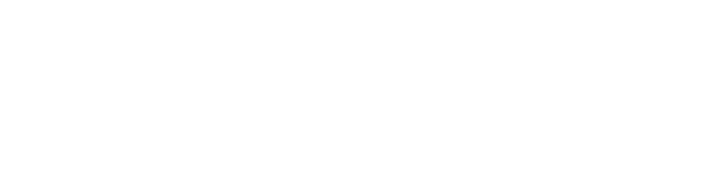 Travel Sense Asia™