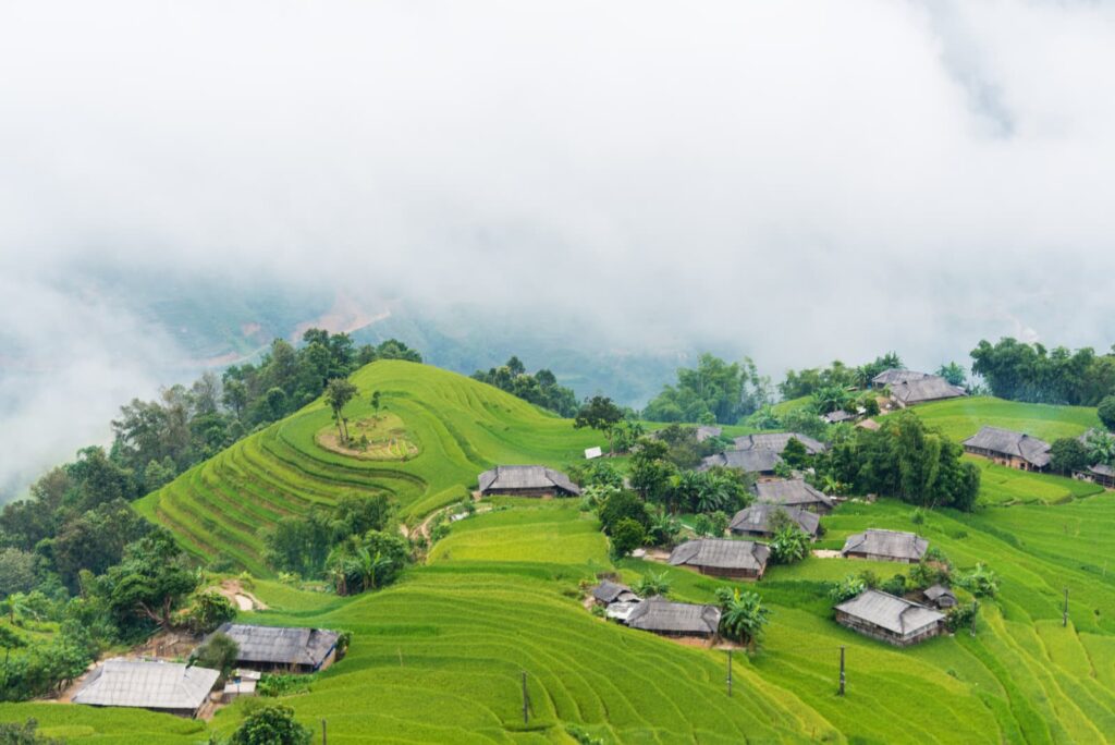 Travel Sense Asia™