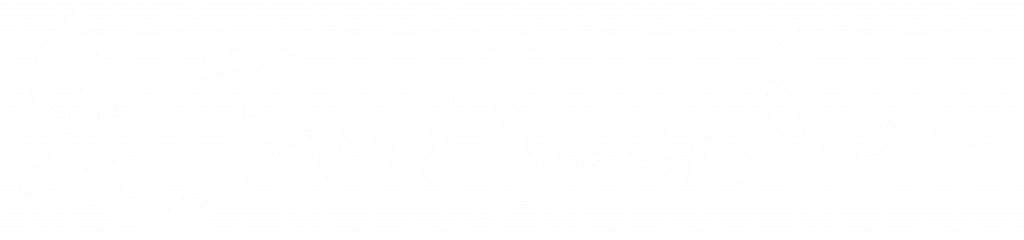 Travel Sense Asia™