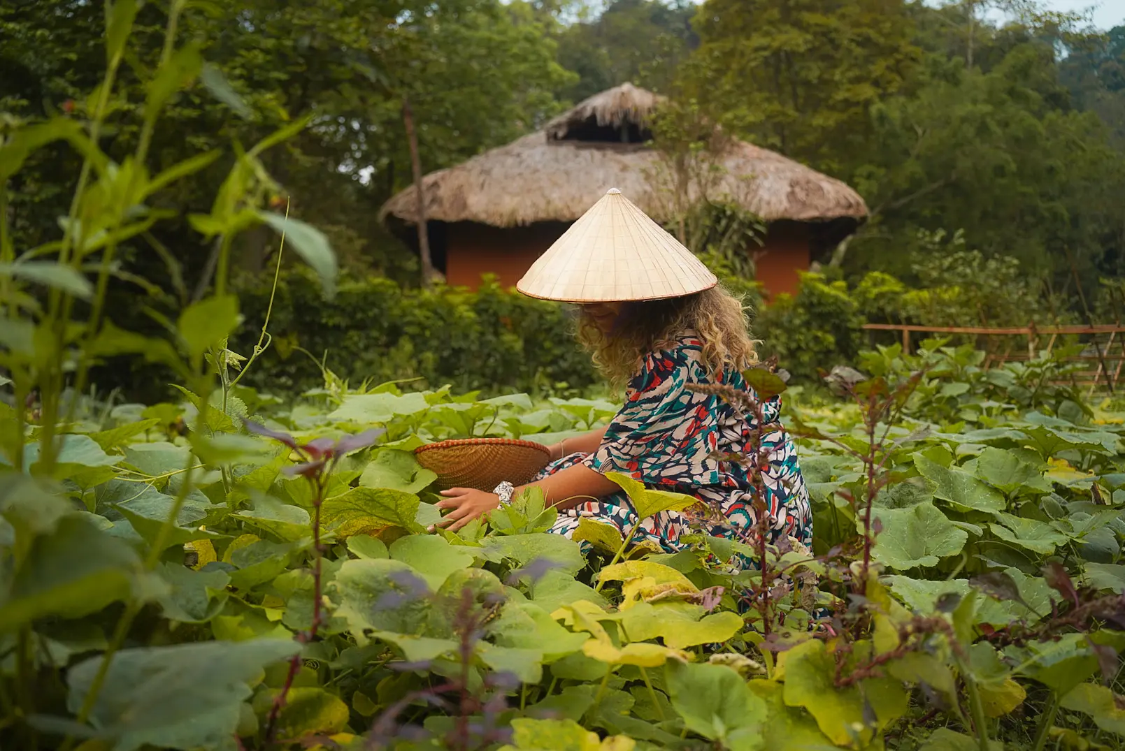 Fonte | Ritiro Panhou, Ha Giang – Vietnam