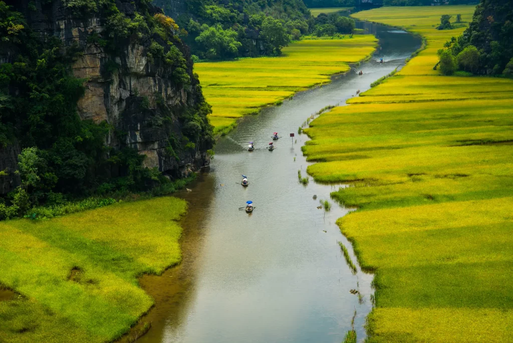 barca tra i campi di riso a Ninh Binh