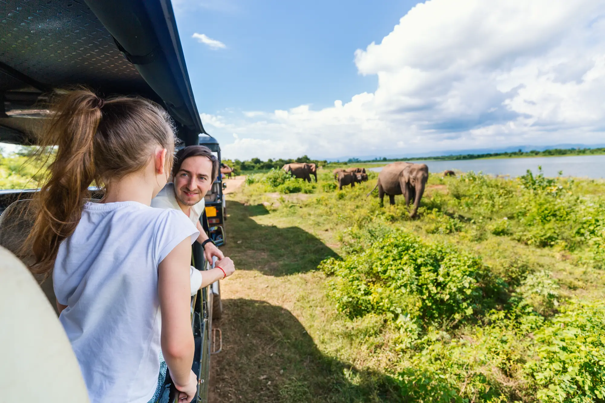 Perché dovremmo dire no all’intrattenimento con animali?