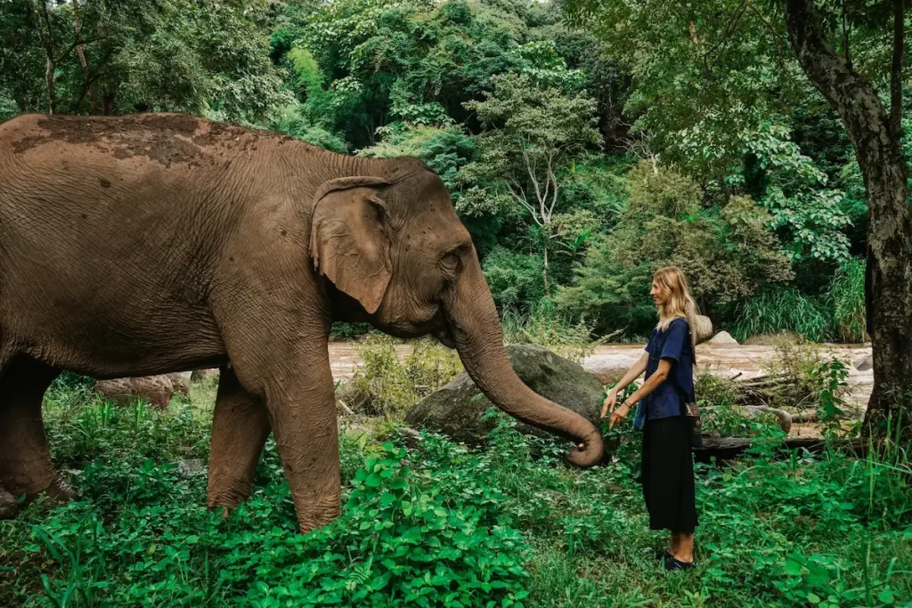 thailandia vietnam cambogia