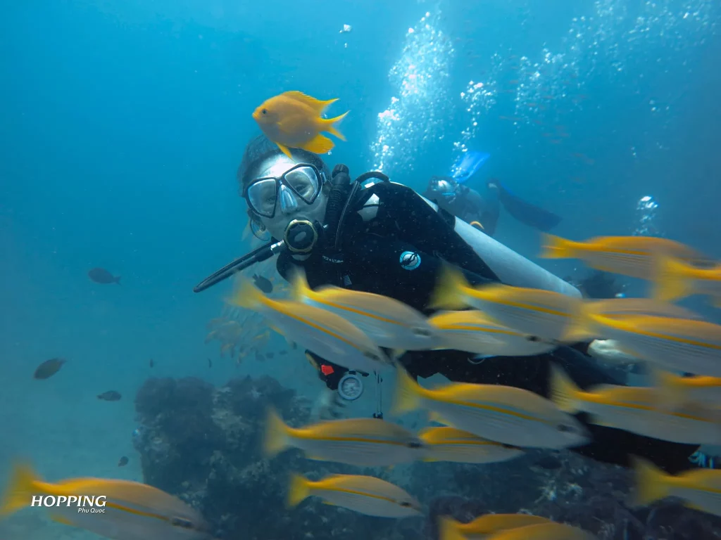 Ottobre e novembre sono i mesi ideali in Vietnam Phu Quoc snorkeling