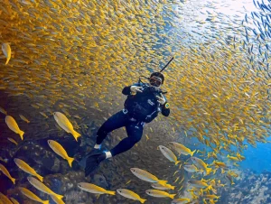 Nha Trang: Il paradiso delle immersioni in un viaggio in Vietnam