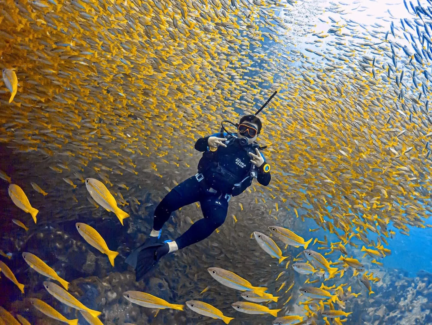 Nha Trang: Il paradiso delle immersioni in un viaggio in Vietnam