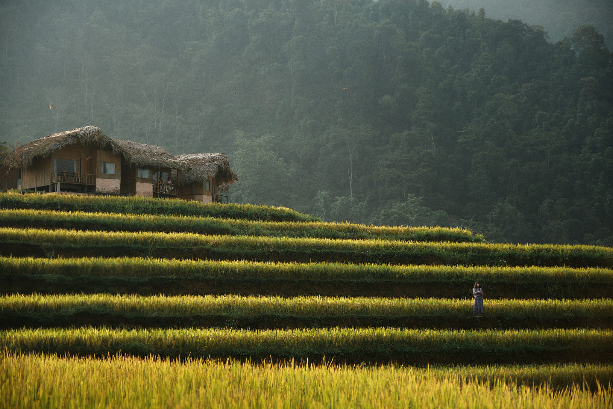 Hoang Su Phi: Il viaggio che tocca il patrimonio delle risaie Nord Vietnam