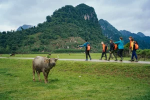 Phong nha quang binh king kong