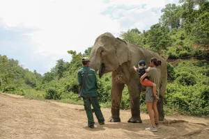 Turismo amico degli animali in Laos: Esperienze etiche con la fauna selvatica che puoi sostenere