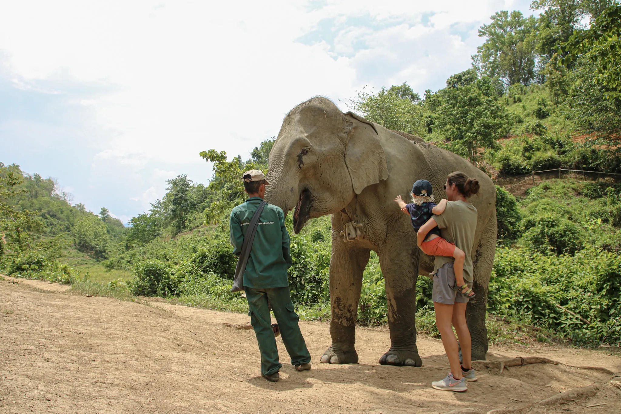 Turismo amico degli animali in Laos: Esperienze etiche con la fauna selvatica che puoi sostenere
