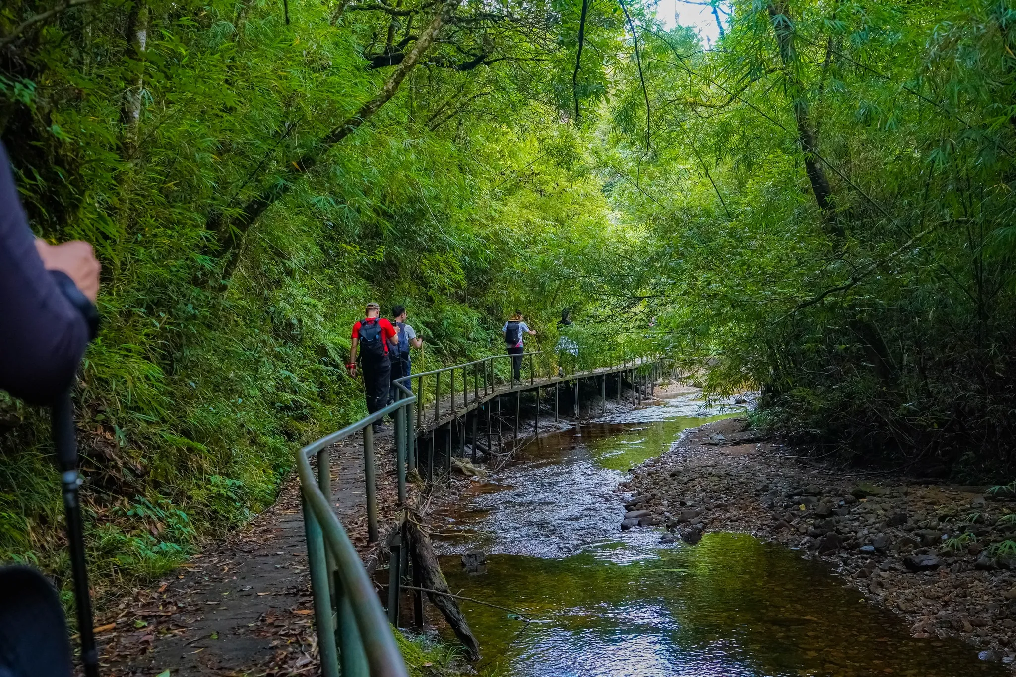 trekking sul Monte Fansipan a Sapa