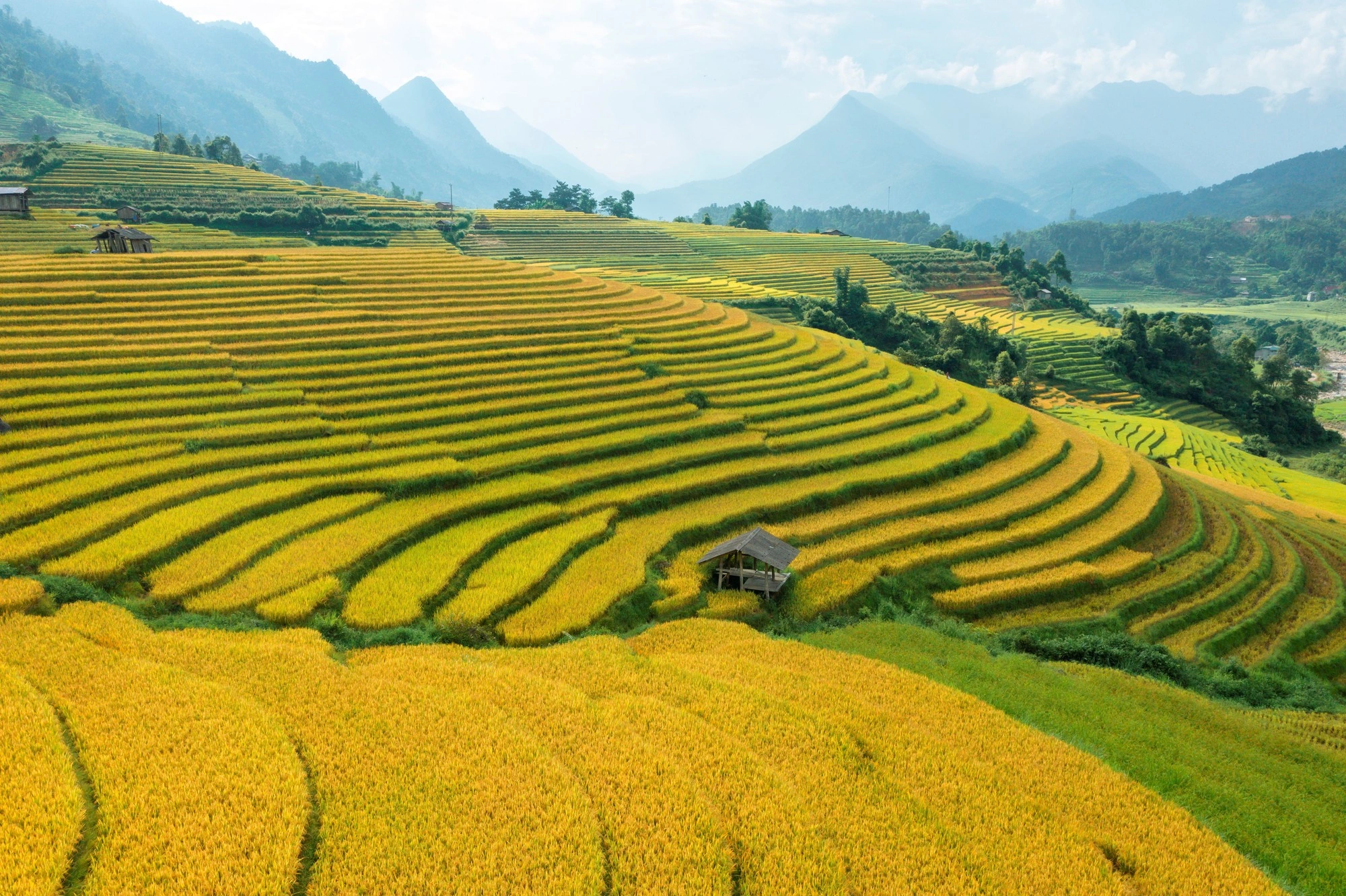Vietnam Tour Background