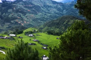 Viaggio in Vietnam: Ammirare le risaie Nord Vietnam