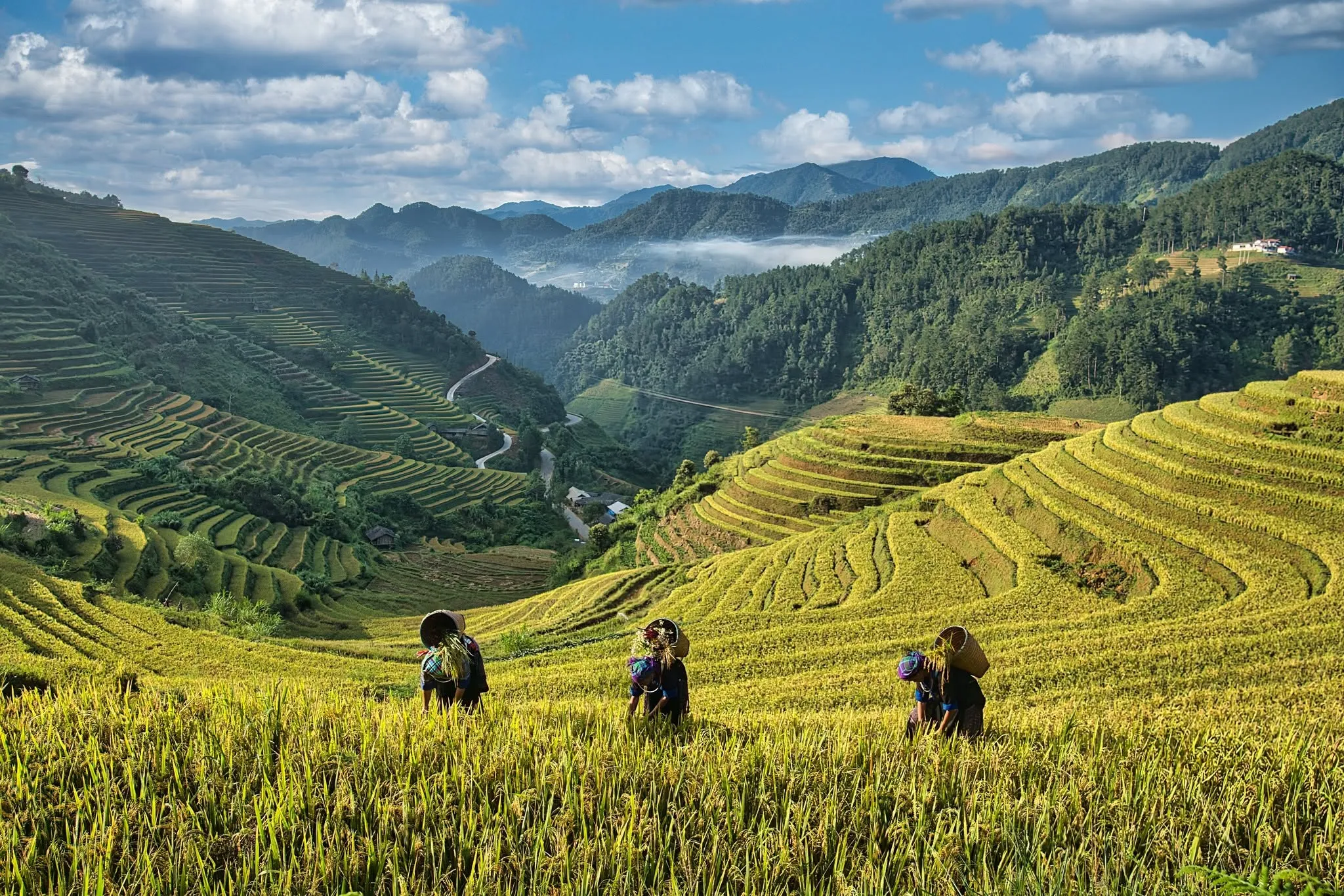 Terrazze di Riso di Mu Cang Chai